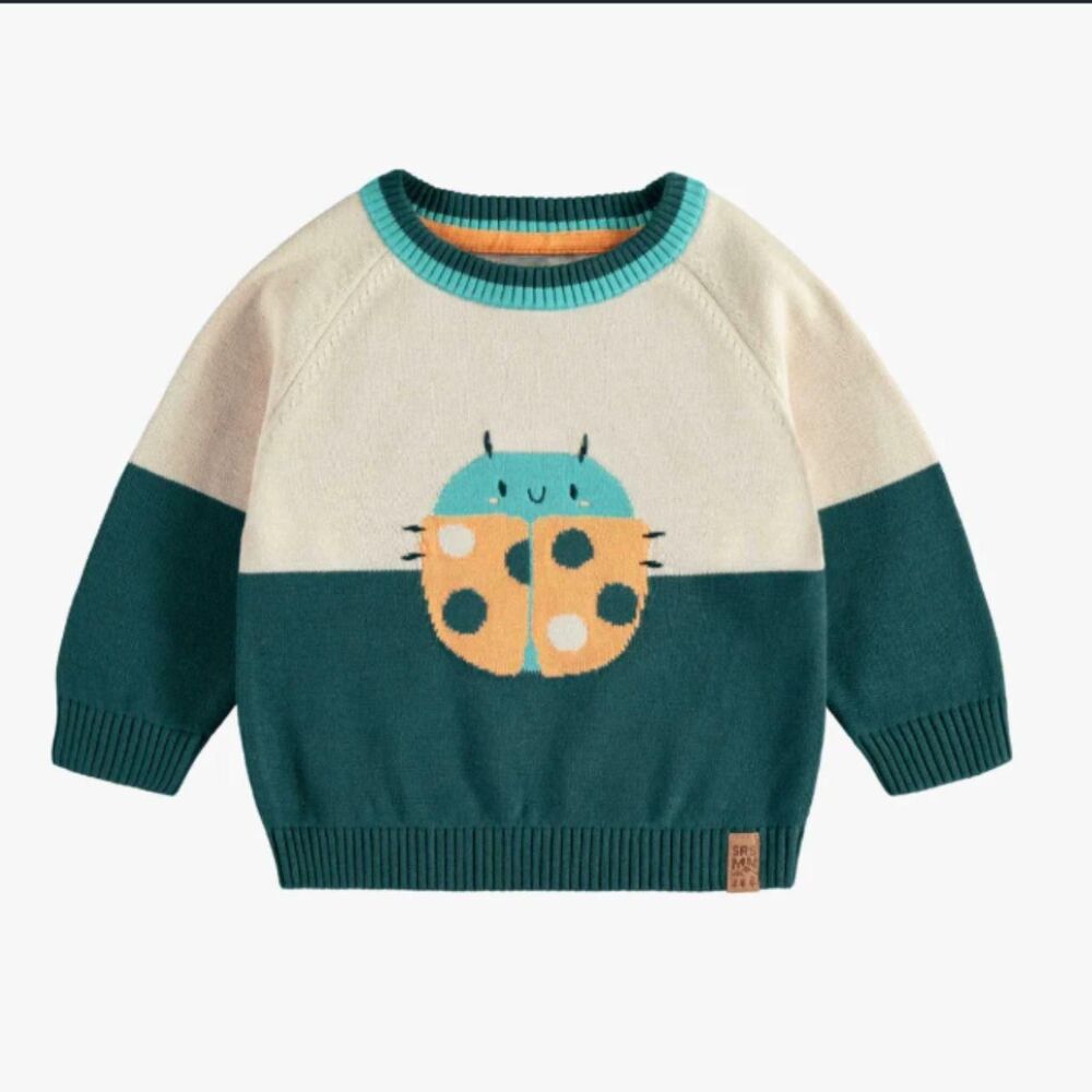 Souris Mini Knitted Sweater In Jacquard Insect Pattern - Size 18-24 Mo